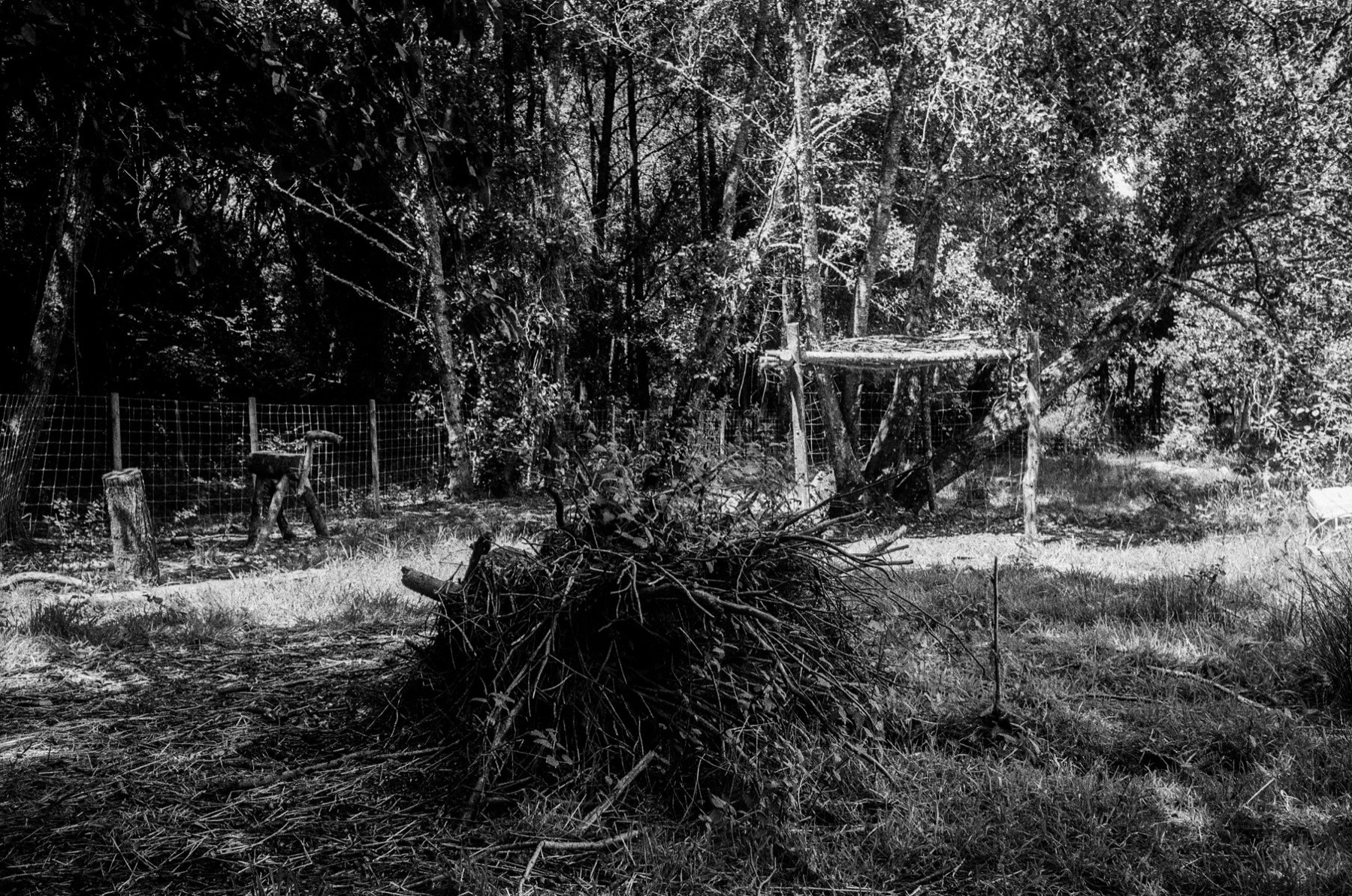 El Trayecto — 08