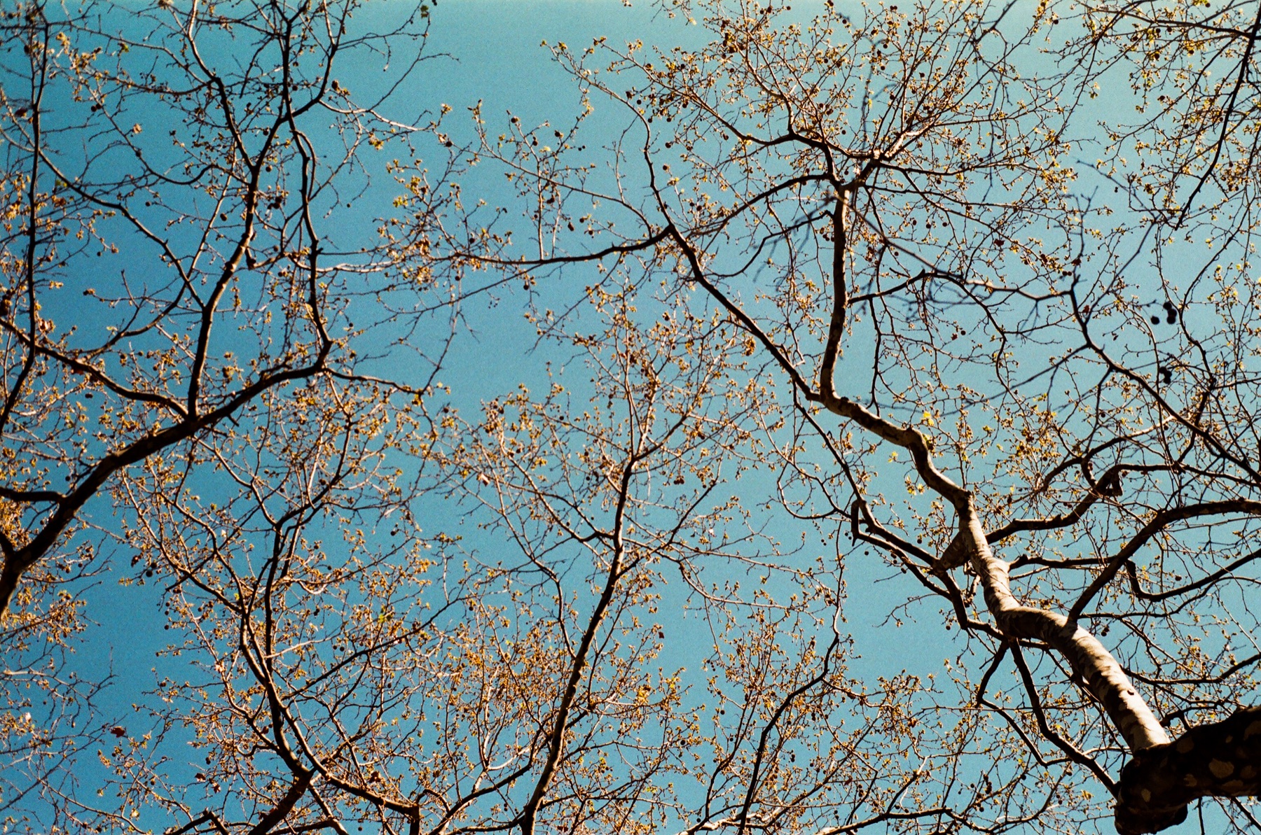 Otras Fotos — 19