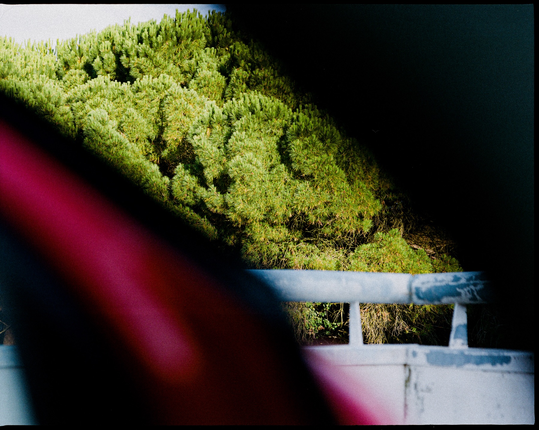 Otras Fotos — 22