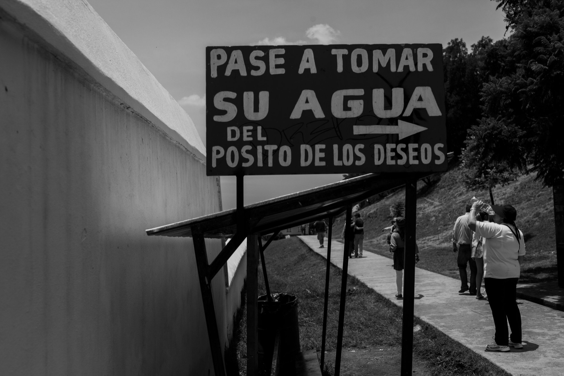 Raices — 15