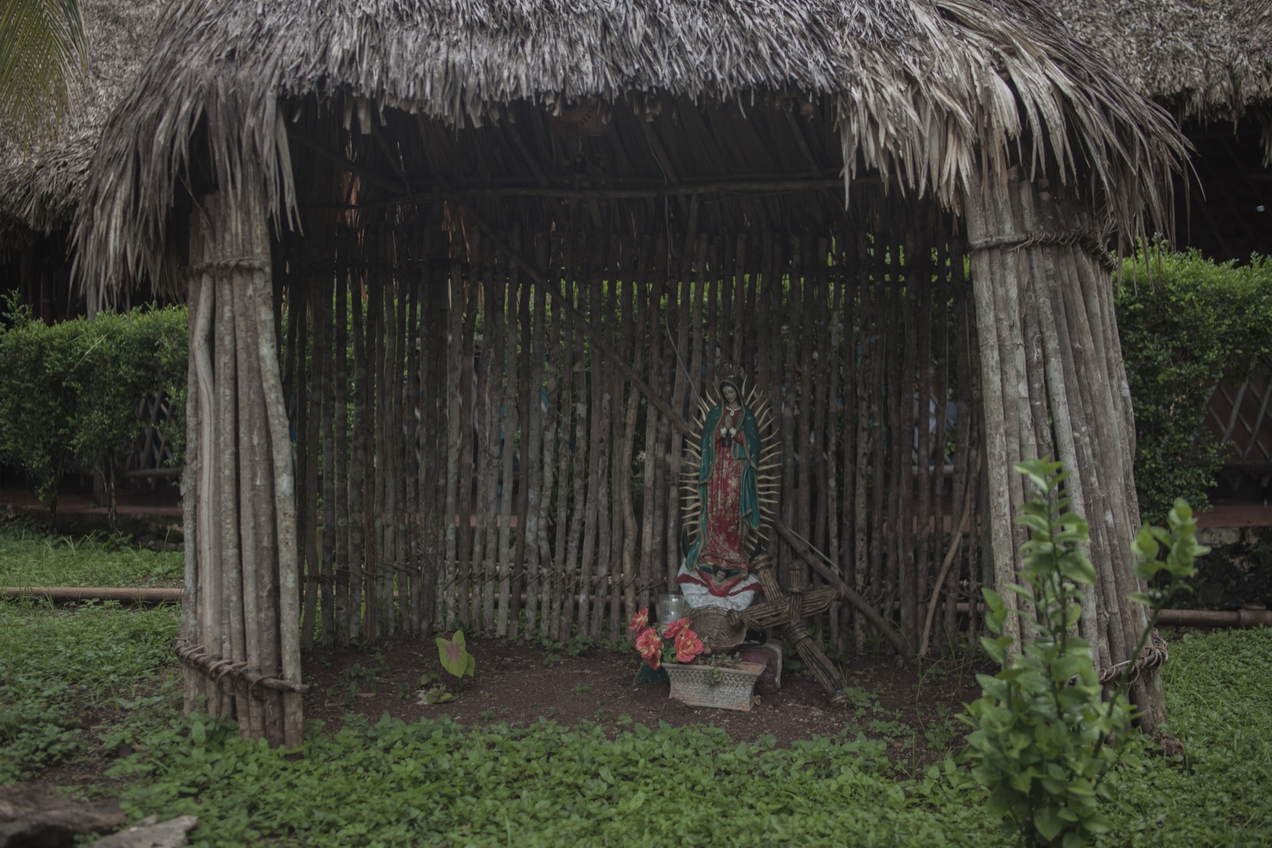Raices — 22