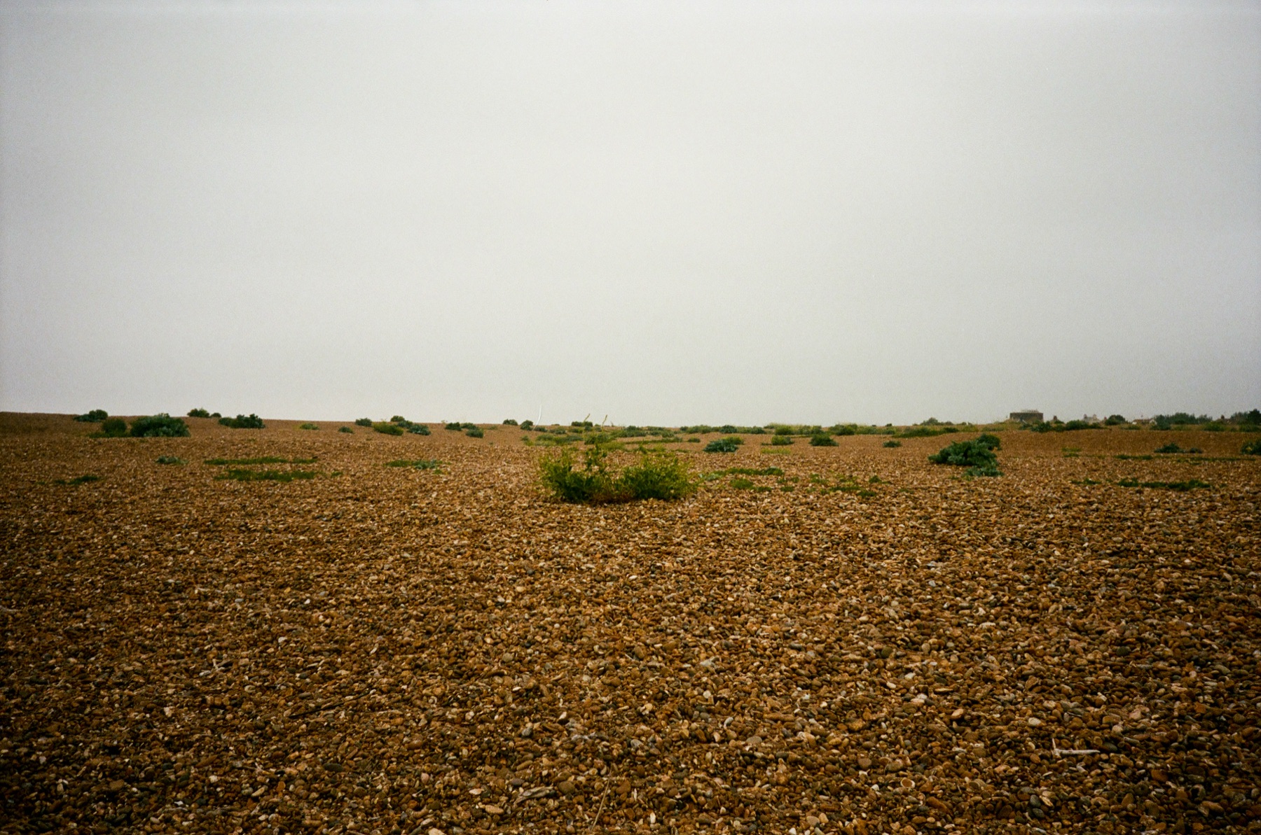 SHINGLE STREET — 05