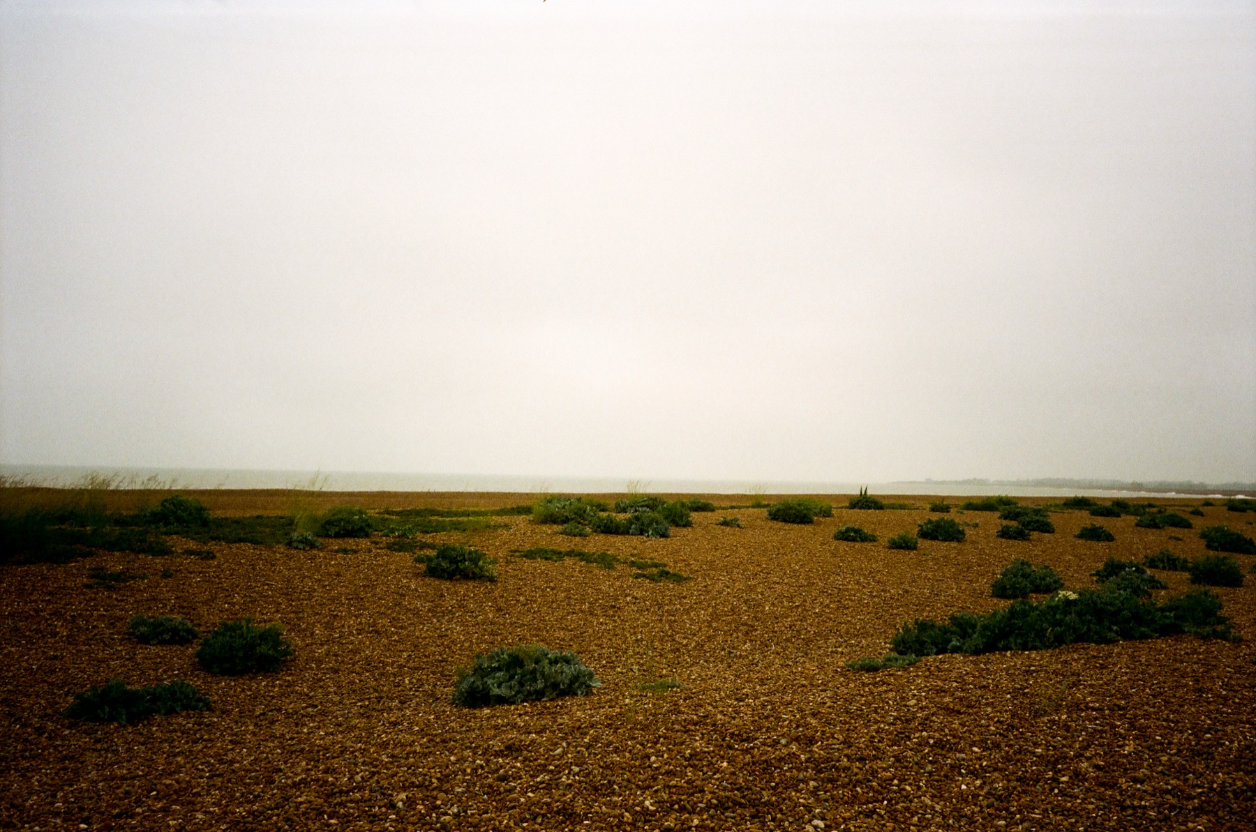 SHINGLE STREET — 10