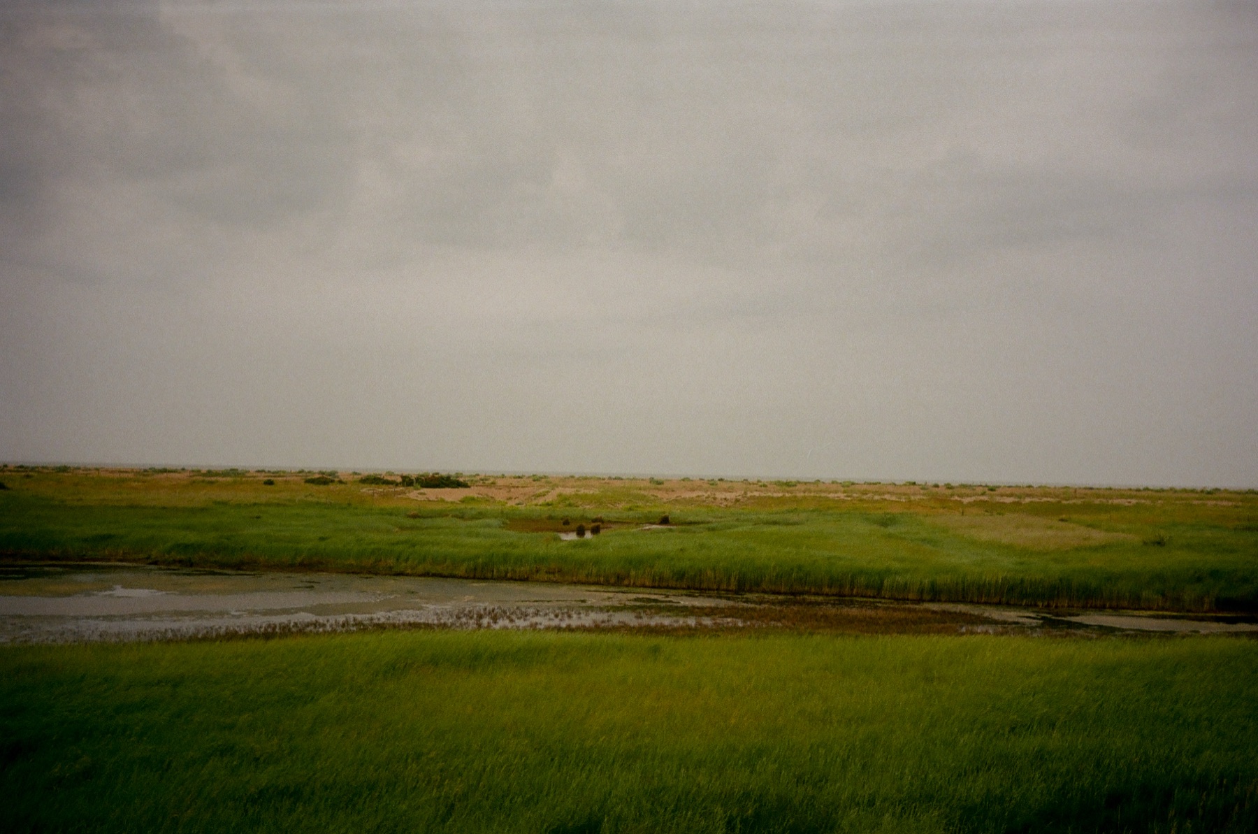 SHINGLE STREET — 12
