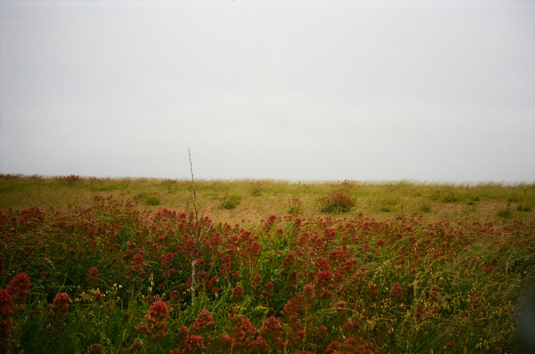 SHINGLE STREET — 13