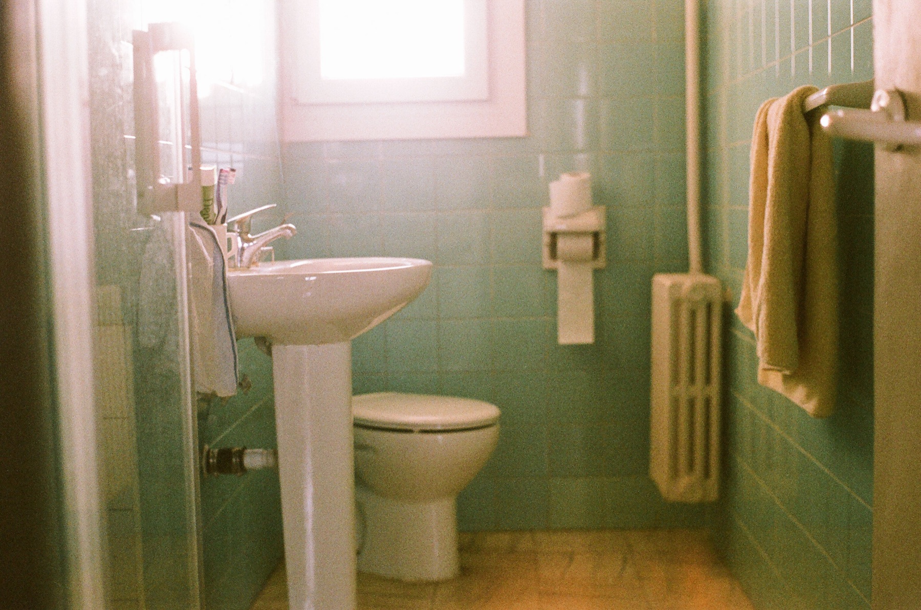 Toilet Paper — 04